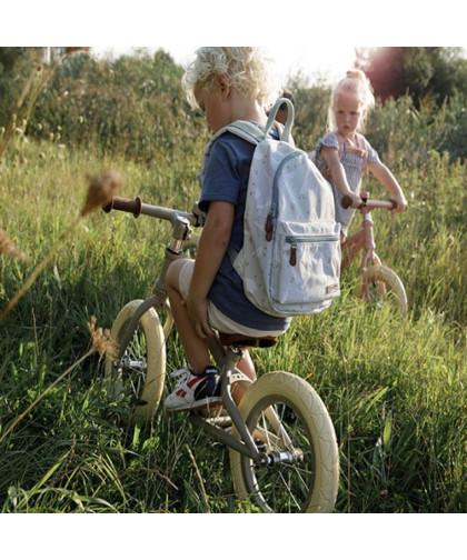 Bicicleta Balance Oliva Little Dutch