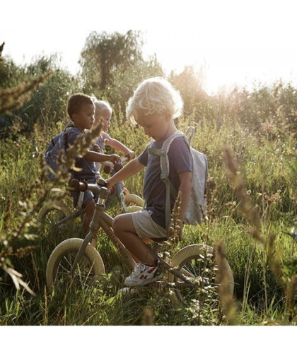 Bicicleta Balance Oliva Little Dutch