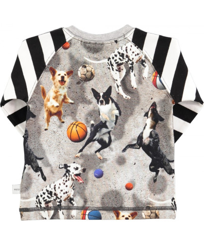 Camiseta Molo Kids Elton Leaping Dogs