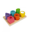 Janod Puzzle Encajable Sensorial