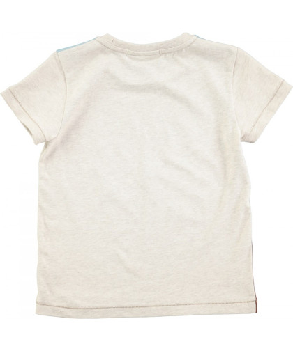 Camiseta Molo Kids Rosinol Sandboarder