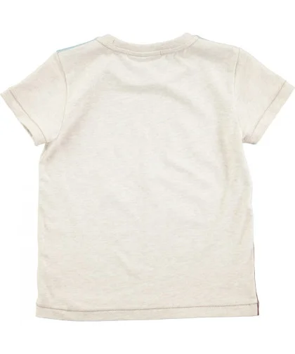 Camiseta Molo Kids Rosinol Sandboarder