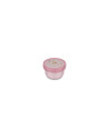 Caja Fruta Campus Fairy Garden Little Dutch