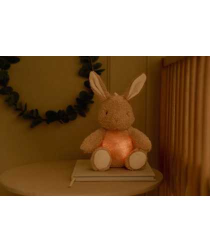 Little Dutch Luz Musical Conejito