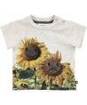 Camiseta Manga Corta Molo Kids Emilio Moddy Flower